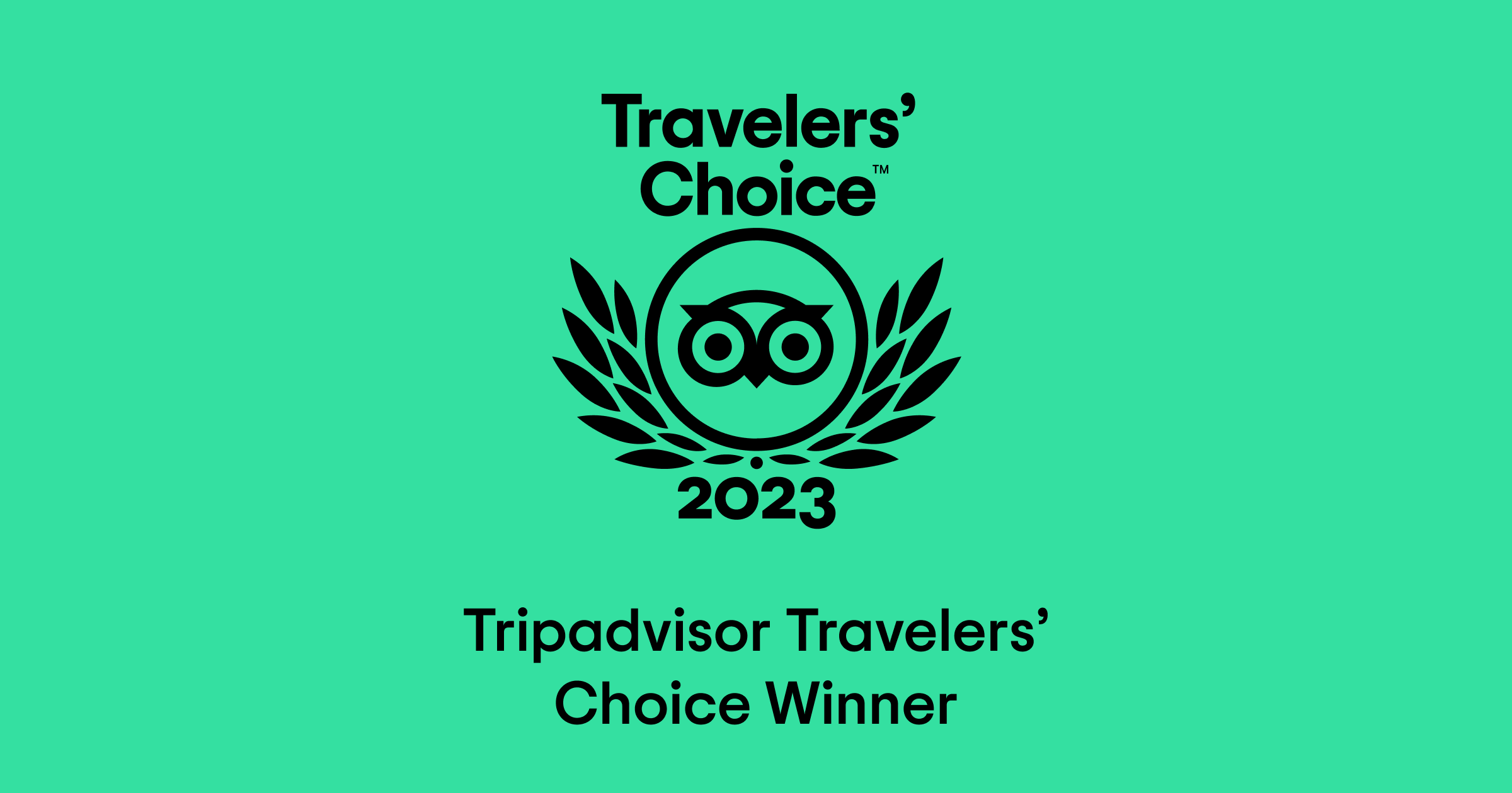 Traveler's choice winner